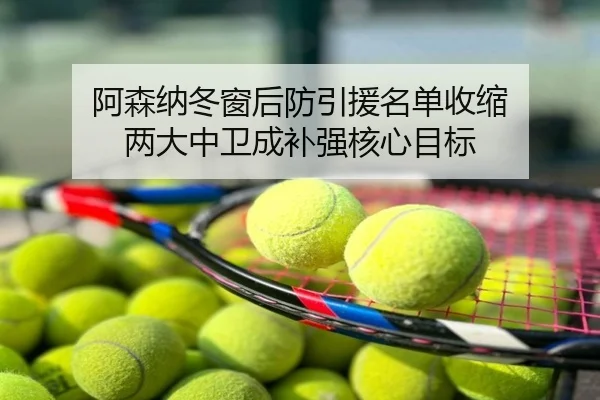 阿森纳冬窗后防引援名单收缩 两大中卫成补强核心目标